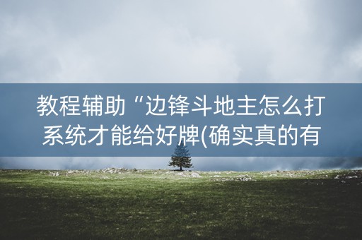 教程辅助“边锋斗地主怎么打系统才能给好牌(确实真的有挂)