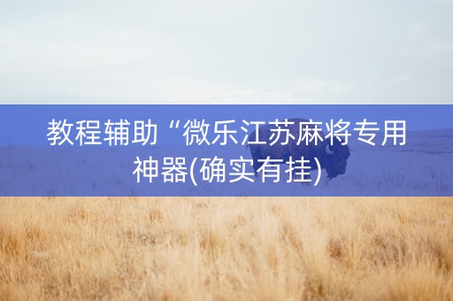 教程辅助“微乐江苏麻将专用神器(确实有挂)