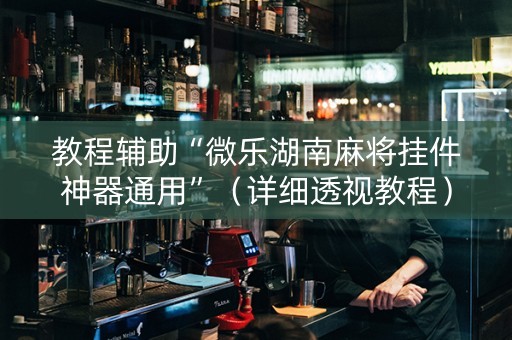 教程辅助“微乐湖南麻将挂件神器通用”（详细透视教程）-哔哩哔哩