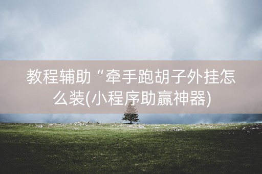 教程辅助“牵手跑胡子外挂怎么装(小程序助赢神器)