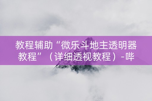 教程辅助“微乐斗地主透明器教程”（详细透视教程）-哔哩哔哩