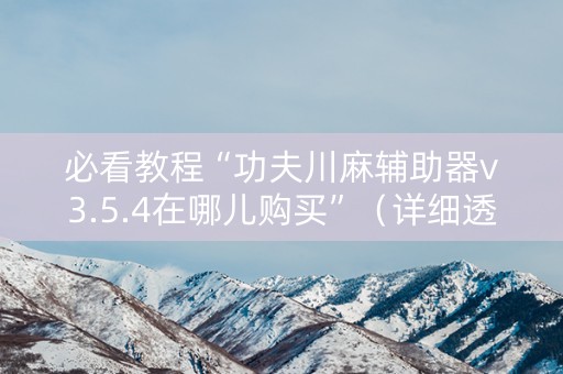 必看教程“功夫川麻辅助器v3.5.4在哪儿购买”（详细透视教程）-哔哩哔哩