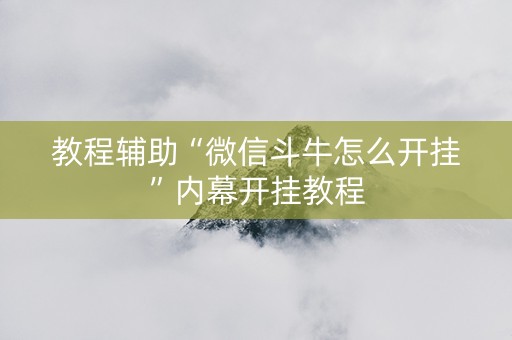 教程辅助“微信斗牛怎么开挂”内幕开挂教程