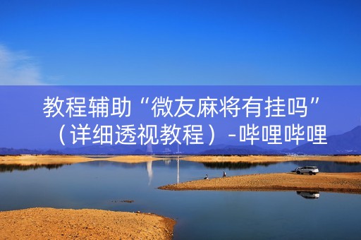 教程辅助“微友麻将有挂吗”（详细透视教程）-哔哩哔哩