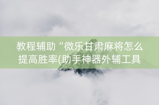 教程辅助“微乐甘肃麻将怎么提高胜率(助手神器外辅工具)