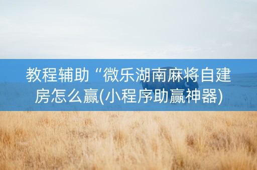 教程辅助“微乐湖南麻将自建房怎么赢(小程序助赢神器)