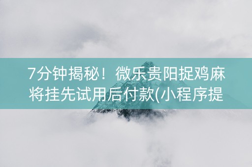 7分钟揭秘！微乐贵阳捉鸡麻将挂先试用后付款(小程序提高胜率)