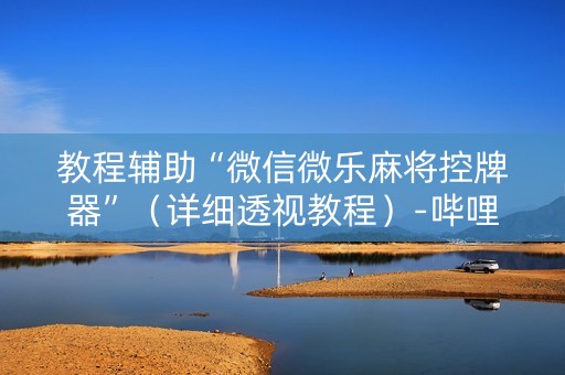 教程辅助“微信微乐麻将控牌器”（详细透视教程）-哔哩哔哩