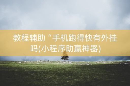 教程辅助“手机跑得快有外挂吗(小程序助赢神器)