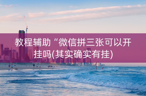 教程辅助“微信拼三张可以开挂吗(其实确实有挂)
