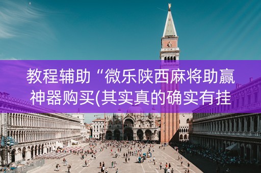 教程辅助“微乐陕西麻将助赢神器购买(其实真的确实有挂)