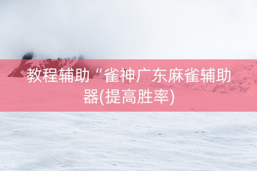 教程辅助“雀神广东麻雀辅助器(提高胜率)