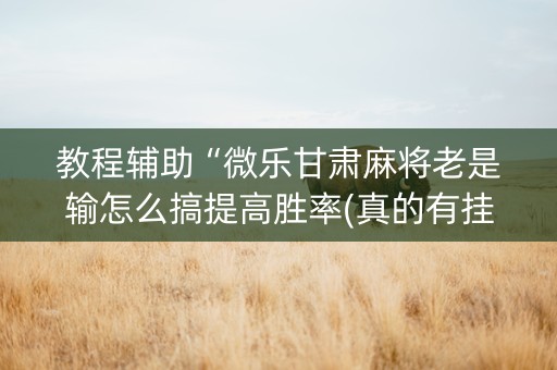 教程辅助“微乐甘肃麻将老是输怎么搞提高胜率(真的有挂确实有挂)