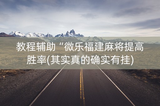 教程辅助“微乐福建麻将提高胜率(其实真的确实有挂)