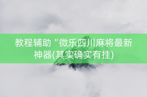 教程辅助“微乐四川麻将最新神器(其实确实有挂)