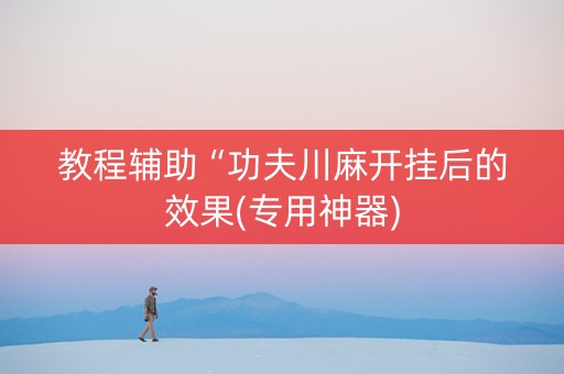 教程辅助“功夫川麻开挂后的效果(专用神器)