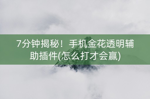 7分钟揭秘！手机金花透明辅助插件(怎么打才会赢)