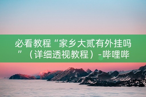必看教程“家乡大贰有外挂吗”（详细透视教程）-哔哩哔哩
