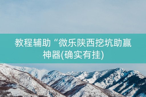 教程辅助“微乐陕西挖坑助赢神器(确实有挂)