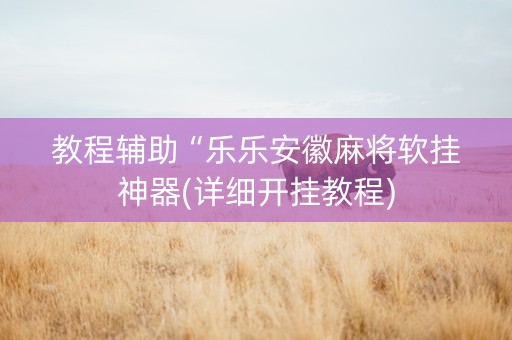教程辅助“乐乐安徽麻将软挂神器(详细开挂教程)