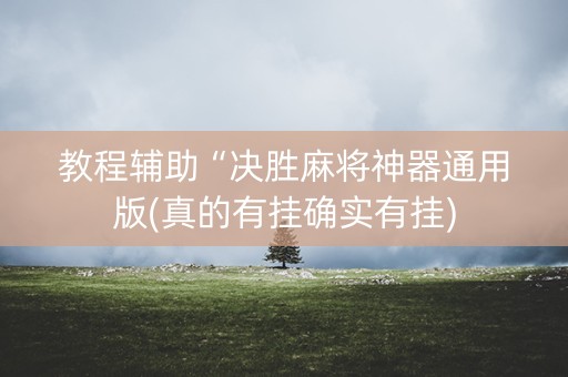 教程辅助“决胜麻将神器通用版(真的有挂确实有挂)