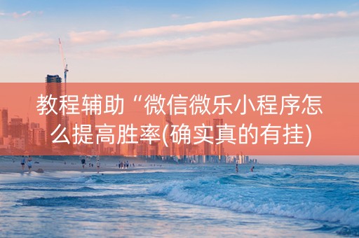 教程辅助“微信微乐小程序怎么提高胜率(确实真的有挂)