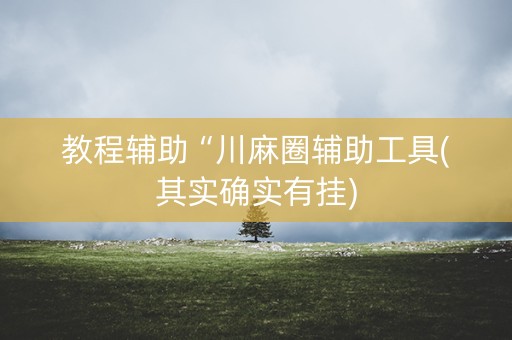 教程辅助“川麻圈辅助工具(其实确实有挂)