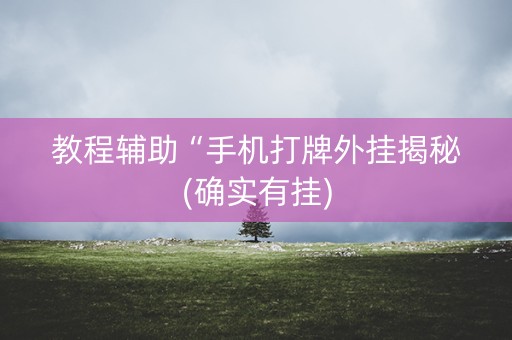 教程辅助“手机打牌外挂揭秘(确实有挂)