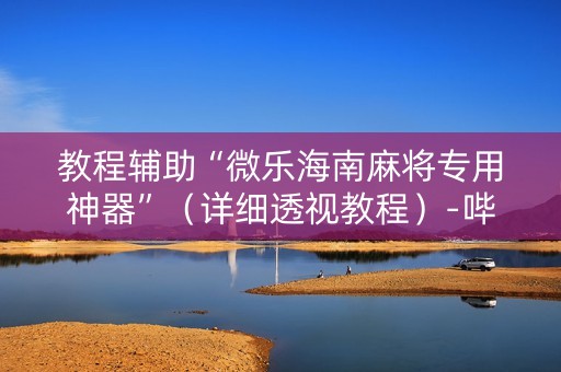 教程辅助“微乐海南麻将专用神器”（详细透视教程）-哔哩哔哩