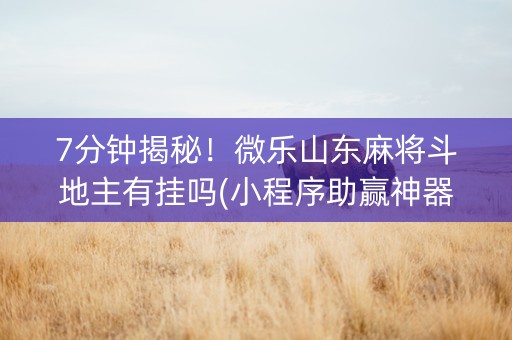 7分钟揭秘！微乐山东麻将斗地主有挂吗(小程序助赢神器)