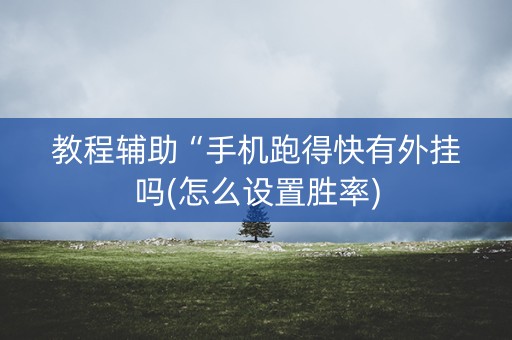 教程辅助“手机跑得快有外挂吗(怎么设置胜率)