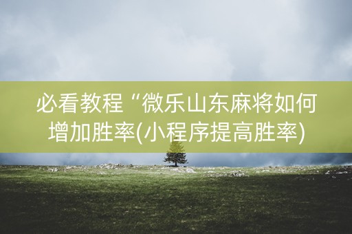 必看教程“微乐山东麻将如何增加胜率(小程序提高胜率)