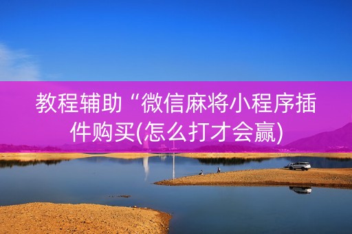 教程辅助“微信麻将小程序插件购买(怎么打才会赢)