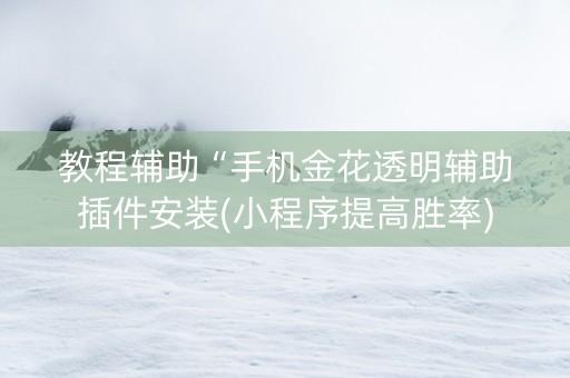 教程辅助“手机金花透明辅助插件安装(小程序提高胜率)