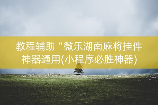 教程辅助“微乐湖南麻将挂件神器通用(小程序必胜神器)