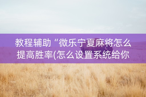 教程辅助“微乐宁夏麻将怎么提高胜率(怎么设置系统给你好牌)