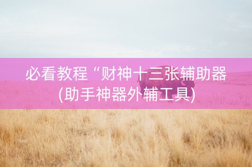 必看教程“财神十三张辅助器(助手神器外辅工具)