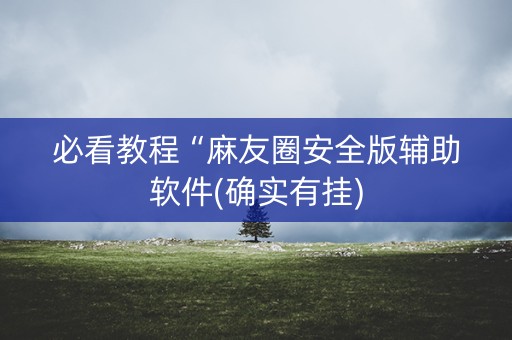 必看教程“麻友圈安全版辅助软件(确实有挂)
