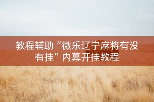 教程辅助“微乐辽宁麻将有没有挂”内幕开挂教程