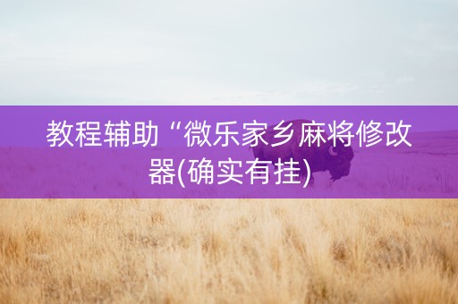 教程辅助“微乐家乡麻将修改器(确实有挂)