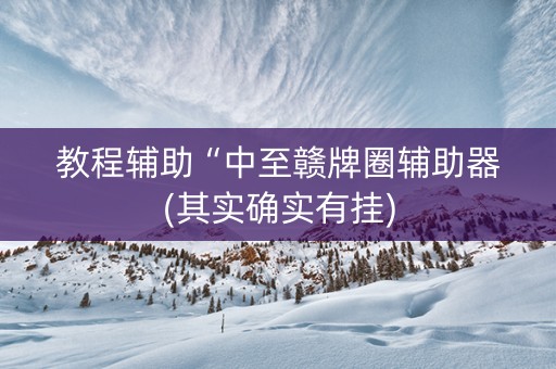 教程辅助“中至赣牌圈辅助器(其实确实有挂)