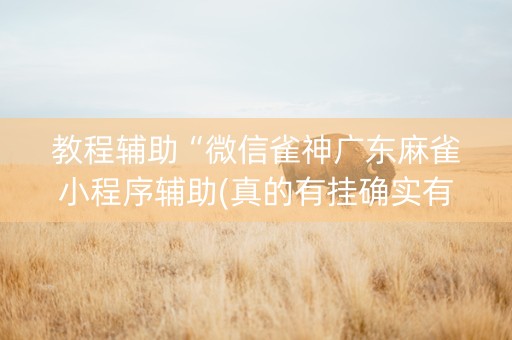 教程辅助“微信雀神广东麻雀小程序辅助(真的有挂确实有挂)