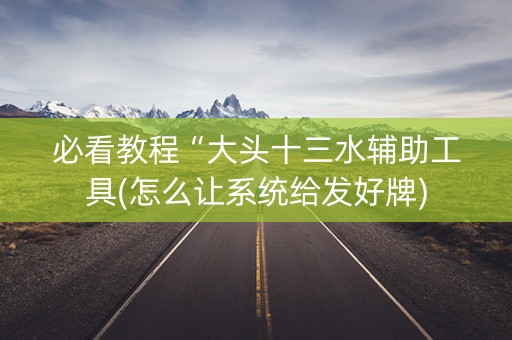 必看教程“大头十三水辅助工具(怎么让系统给发好牌)