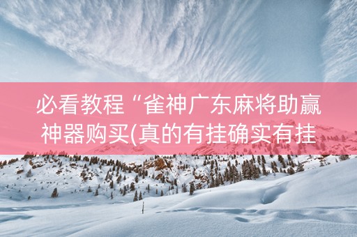 必看教程“雀神广东麻将助赢神器购买(真的有挂确实有挂)
