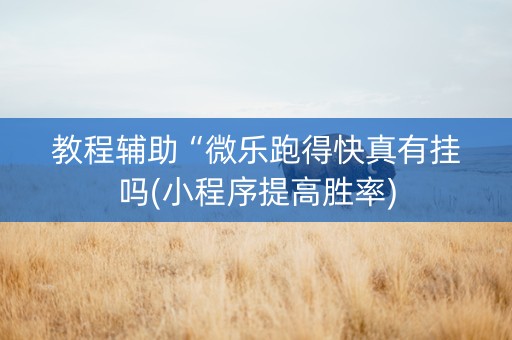 教程辅助“微乐跑得快真有挂吗(小程序提高胜率)