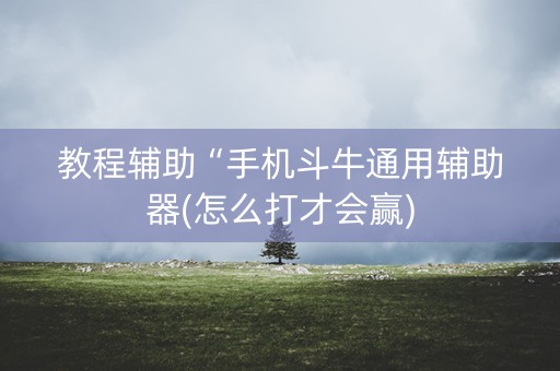 教程辅助“手机斗牛通用辅助器(怎么打才会赢)