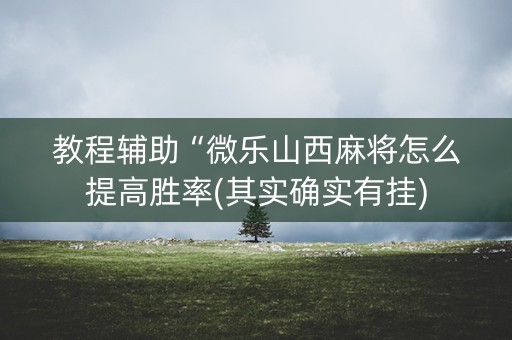 教程辅助“微乐山西麻将怎么提高胜率(其实确实有挂)
