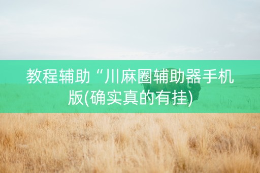 教程辅助“川麻圈辅助器手机版(确实真的有挂)