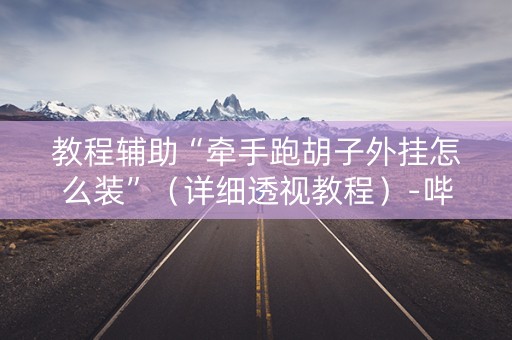 教程辅助“牵手跑胡子外挂怎么装”（详细透视教程）-哔哩哔哩