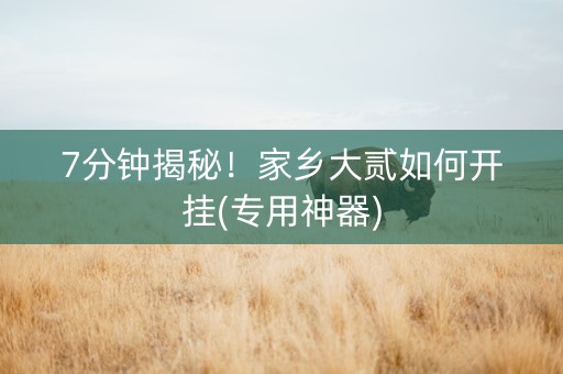 7分钟揭秘！家乡大贰如何开挂(专用神器)